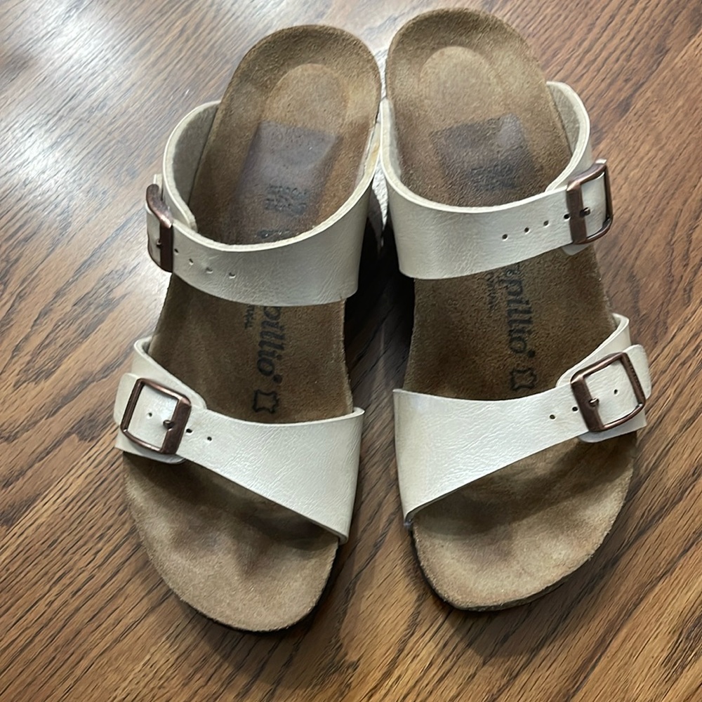 Papillio size 37